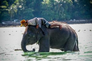 A person riding an elephant in water